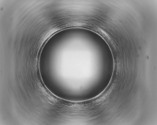 X0000086951178200704231418