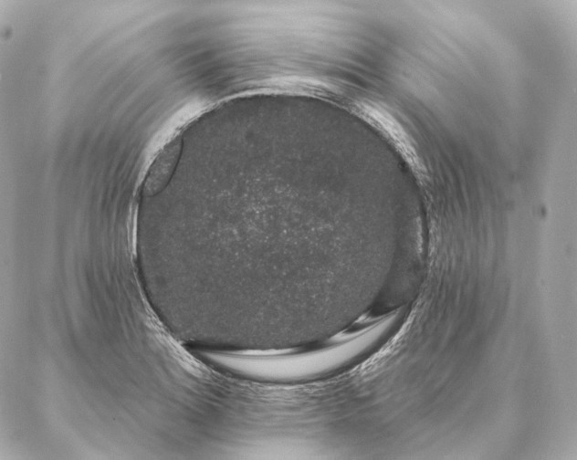 X0000086951180200704231418