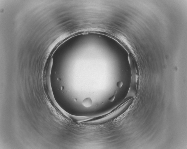 X0000086951181200704231418