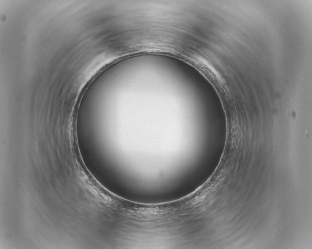 X0000086951182200704231418