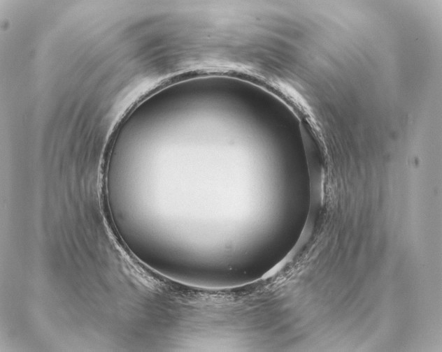 X0000086951183200704231418