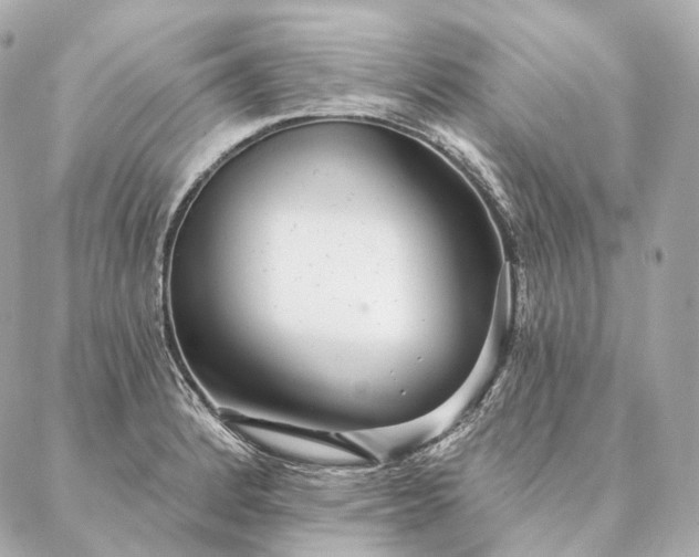 X0000086951184200704231418