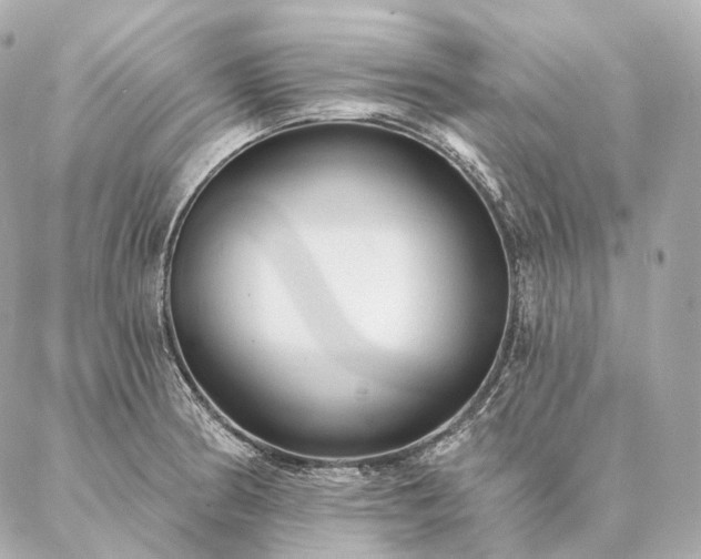 X0000086951186200704231418