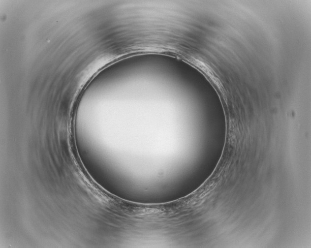 X0000086951187200704231418