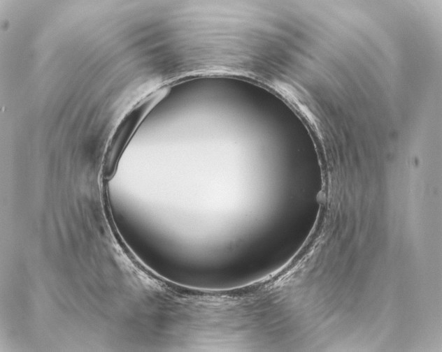 X0000086951189200704231418