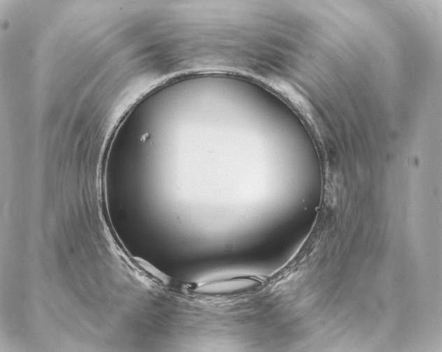 X0000086951191200704231418