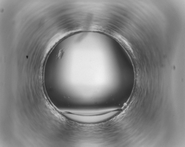 X0000086951192200704231418