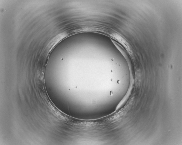 X0000086951193200704231418