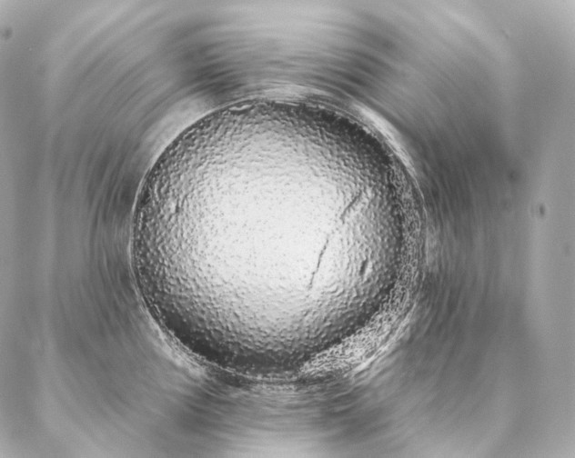 X0000086951194200704231418