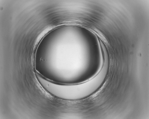 X0000086951196200704231418