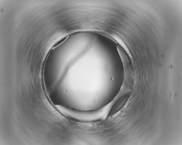 X0000086951197200704231418