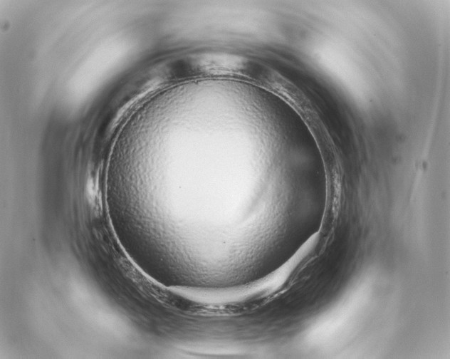 X0000086951198200704231418