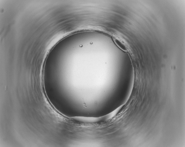 X0000086951199200704231418