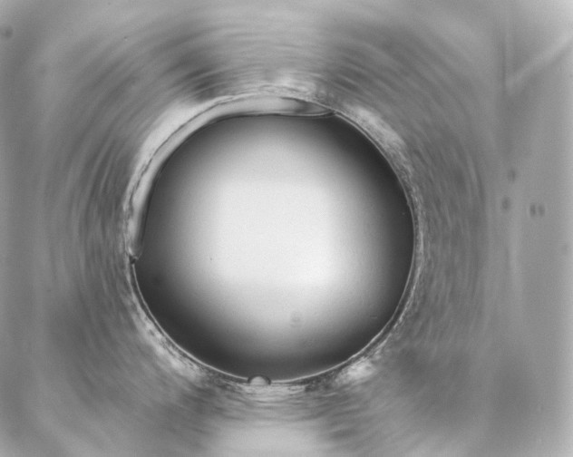 X0000086951200200704231418