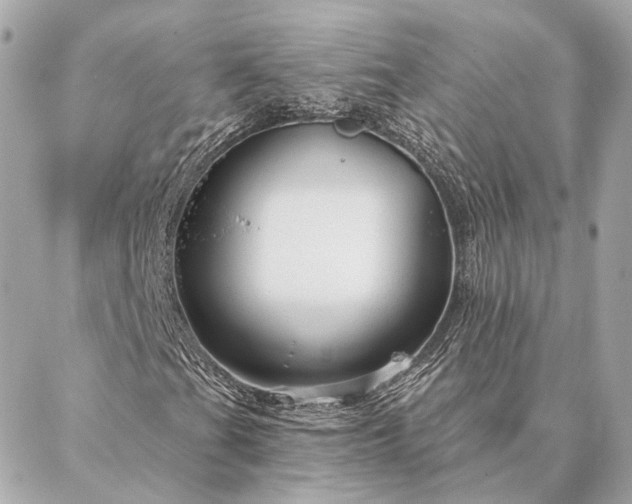 X0000086951201200704231417