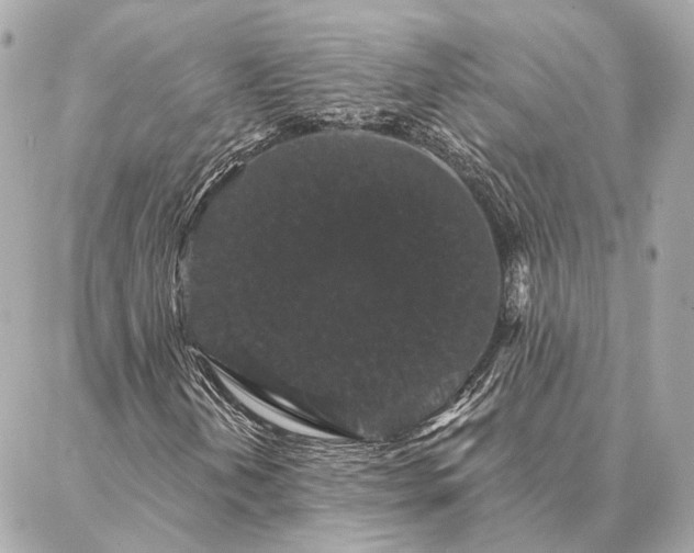 X0000086951202200704231417