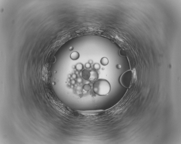 X0000086951203200704231417