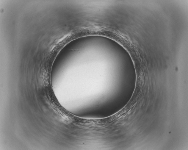 X0000086951205200704231417