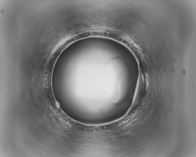 X0000086951208200704231417