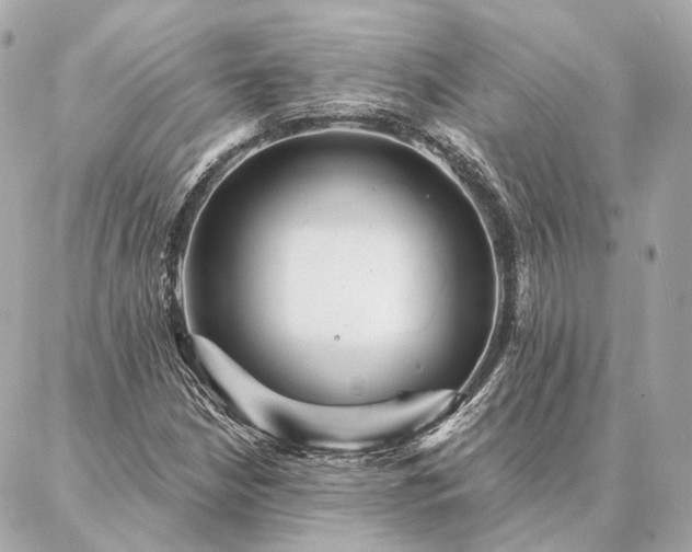 X0000086951210200704231417