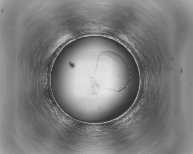 X0000086951211200704231417