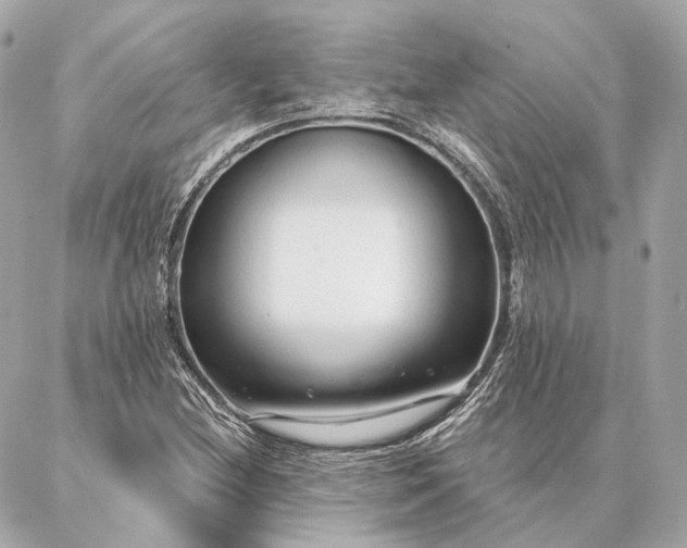 X0000086951212200704231417