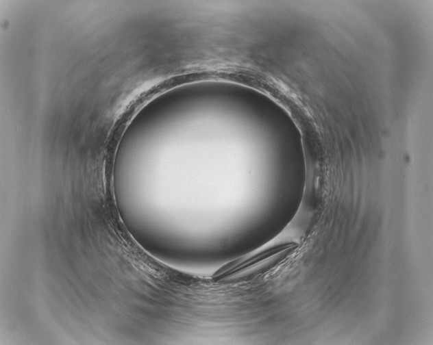 X0000086951214200704231417