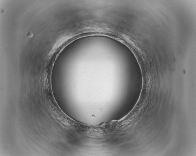 X0000086951215200704231417