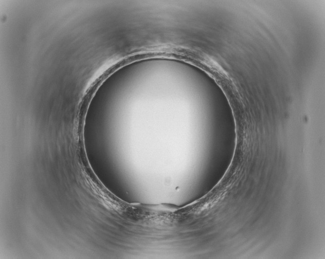 X0000086951216200704231417