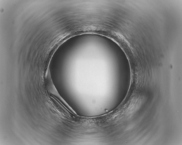 X0000086951217200704231417