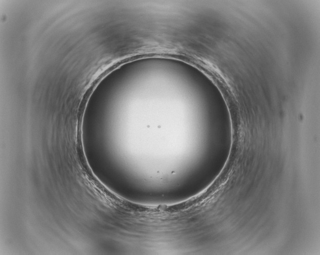 X0000086951220200704231417