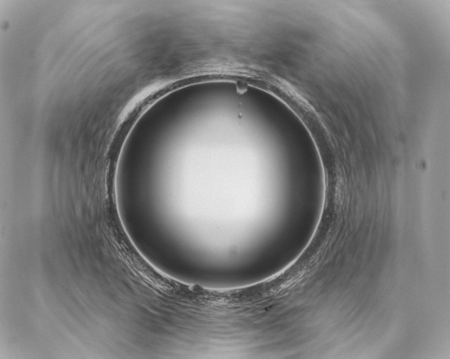 X0000086951222200704231417