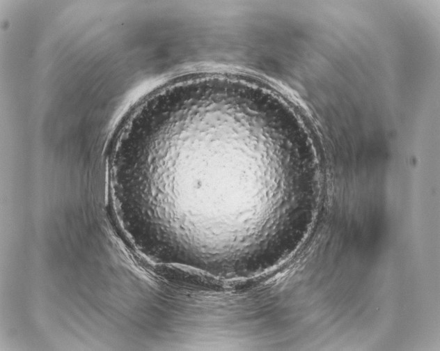 X0000086951223200704231417