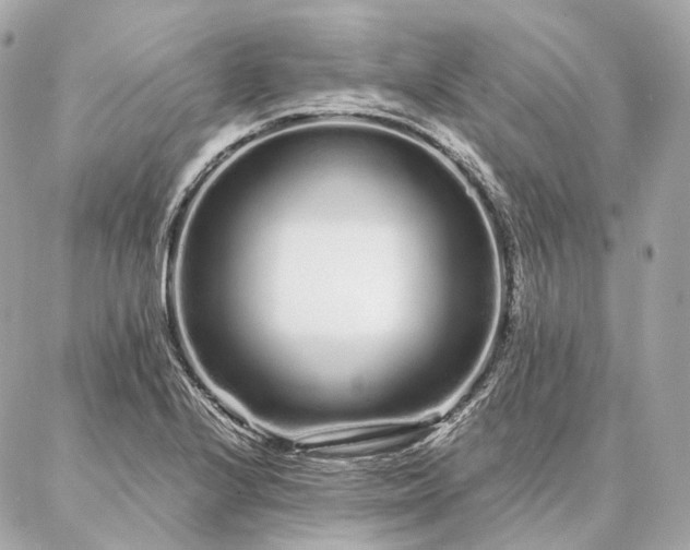 X0000086951224200704231417