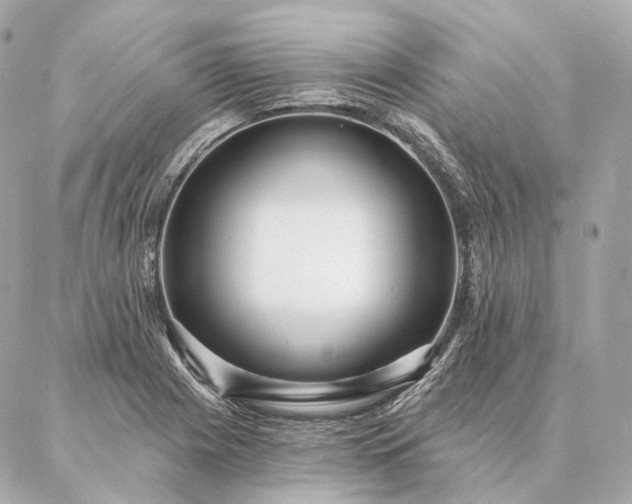 X0000086951225200704231417