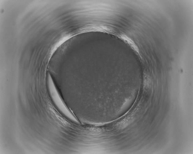 X0000086951226200704231417