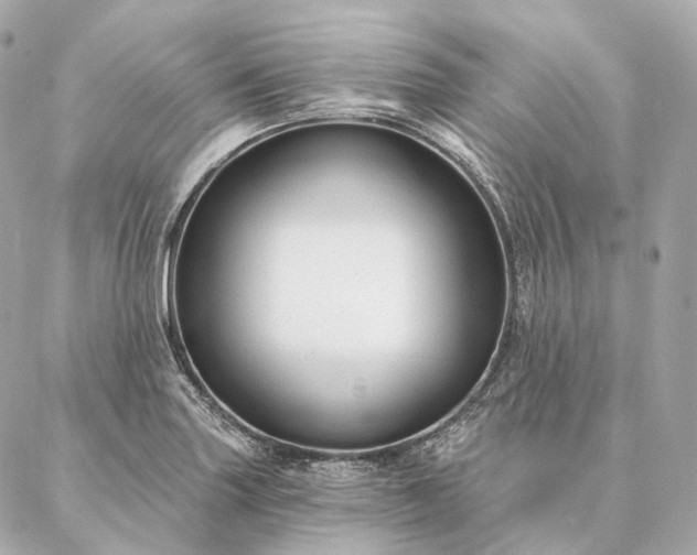 X0000086951227200704231417