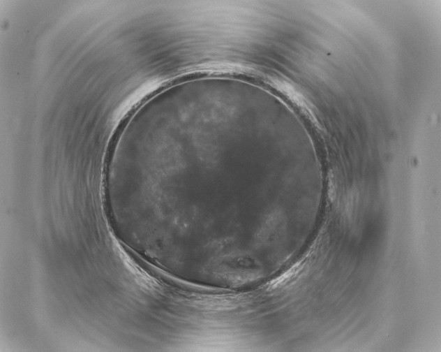 X0000086951229200704231417