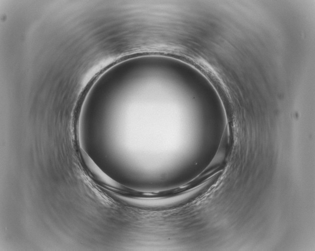 X0000086951230200704231417