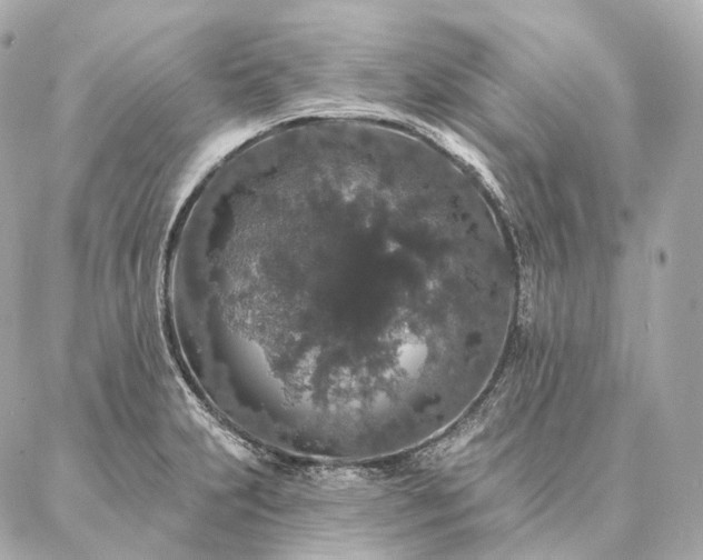 X0000086951231200704231417