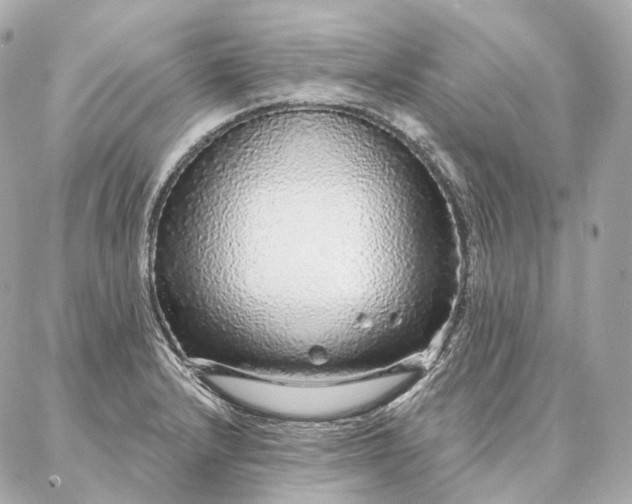 X0000086951232200704231417