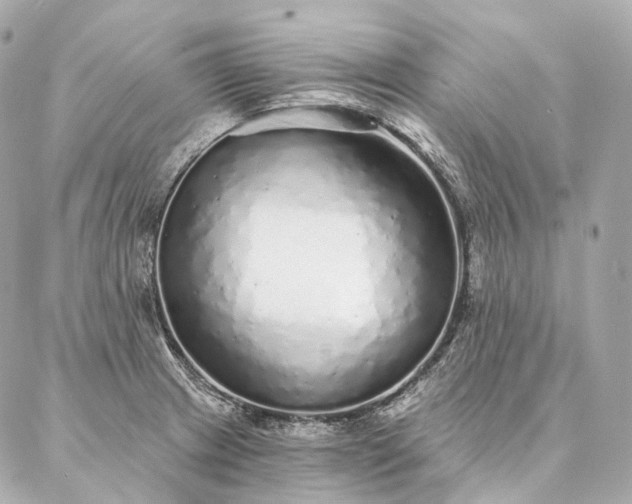 X0000086951233200704231417