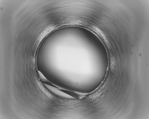 X0000086951234200704231417