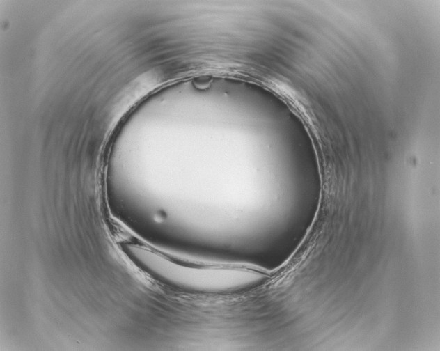 X0000086951235200704231417