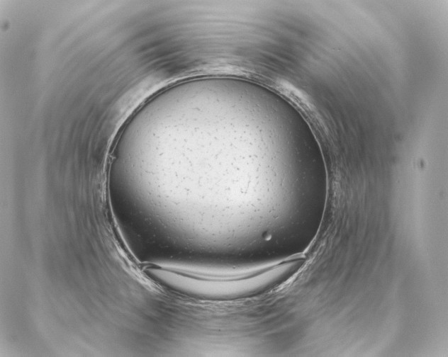 X0000086951236200704231417