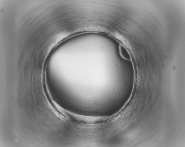 X0000086951237200704231417