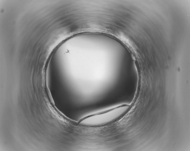 X0000086951238200704231417