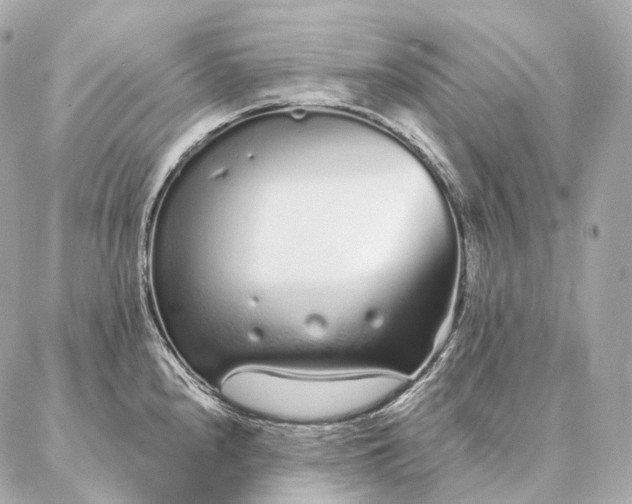 X0000086951240200704231417