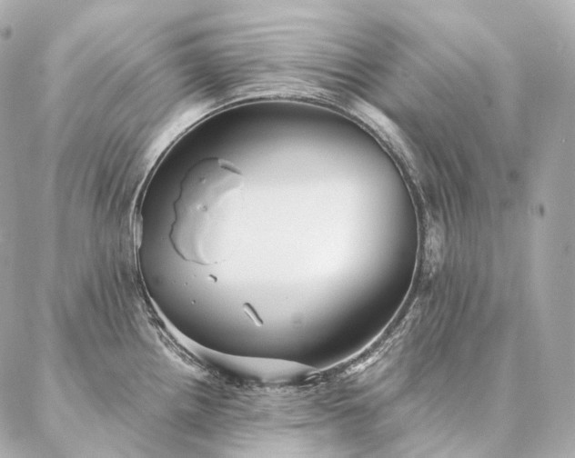 X0000086951242200704231417