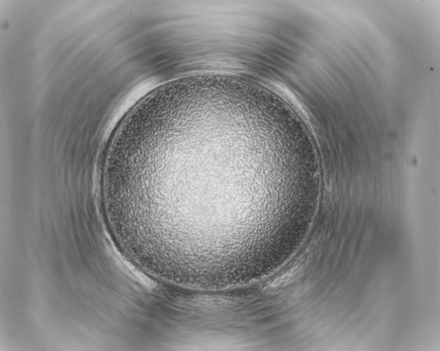 X0000086951243200704231417